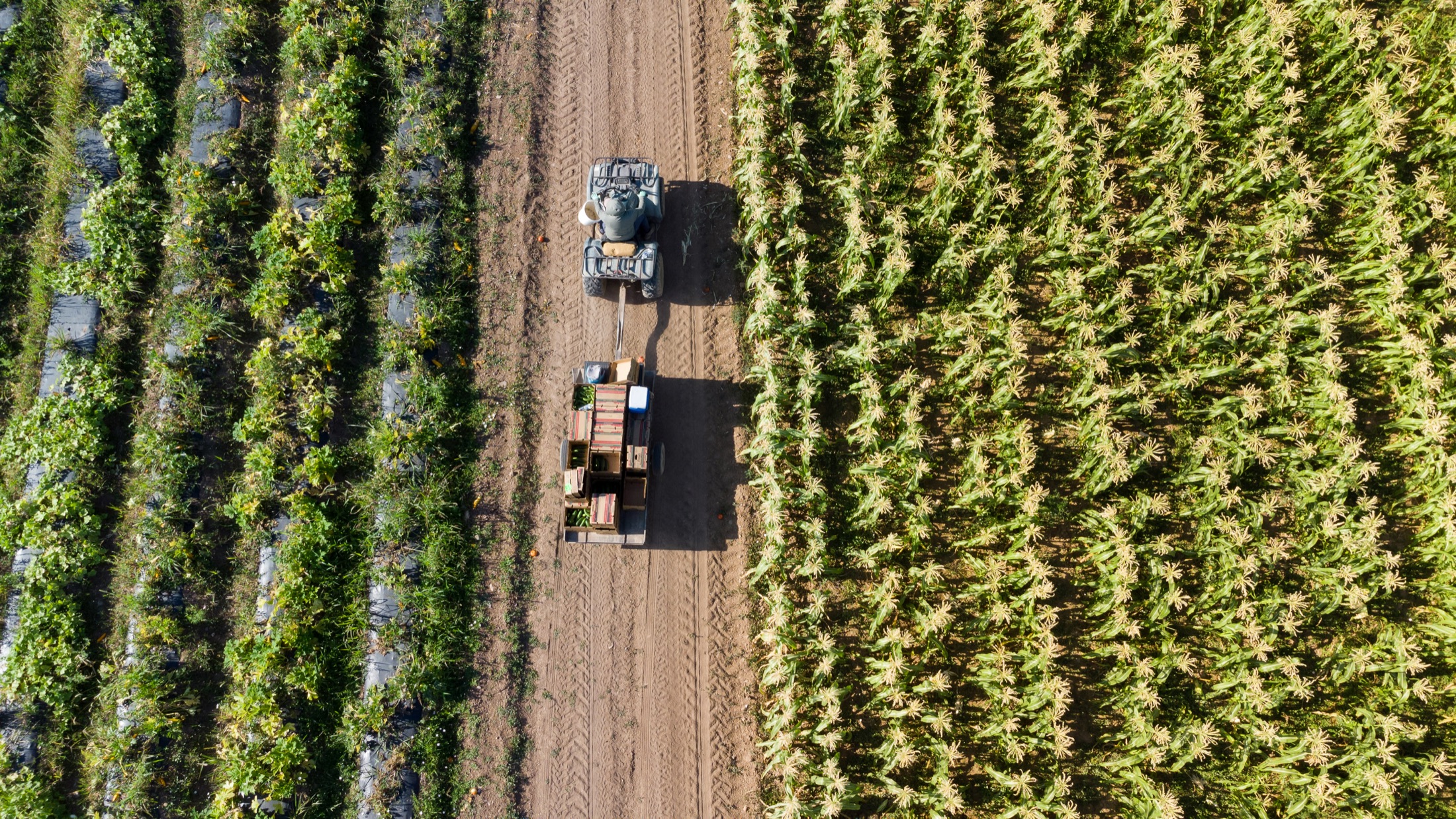 Farm Machinery
