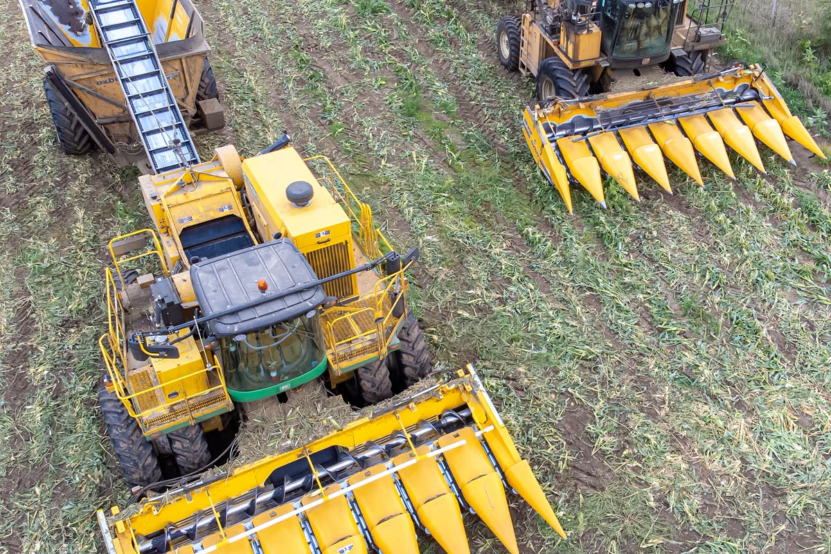 2001 Iseki Combine Harvester image 3
