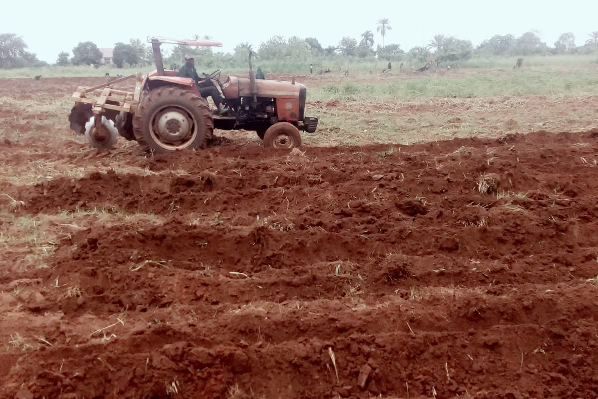 2005 Yanmar AF Tractor image 2